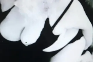 QV 80 HHR 150 HOUR 175 - Image 3